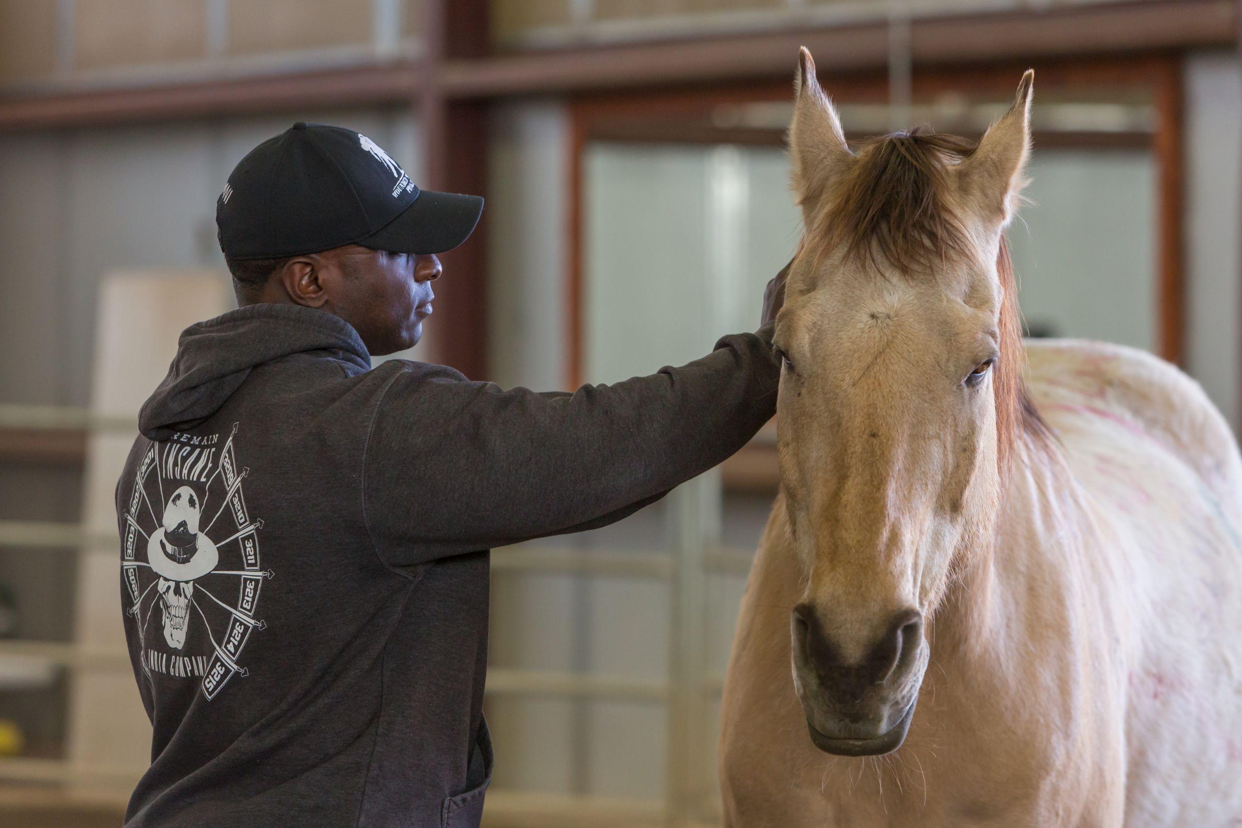 A man strokes a horse's neck during an Equine Assisted Learning session at the National Ability Center.