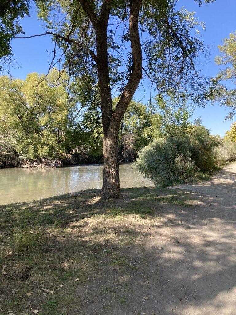 A hard packed dirt trail leads past a river.