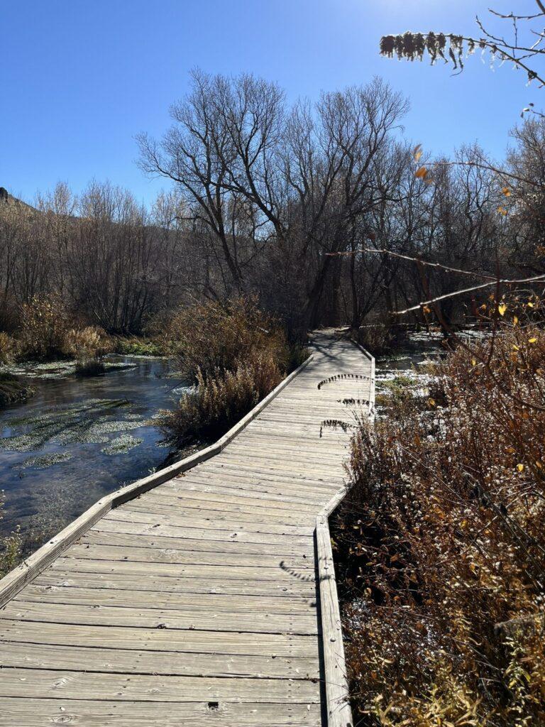 A boardwalk over a pond. 