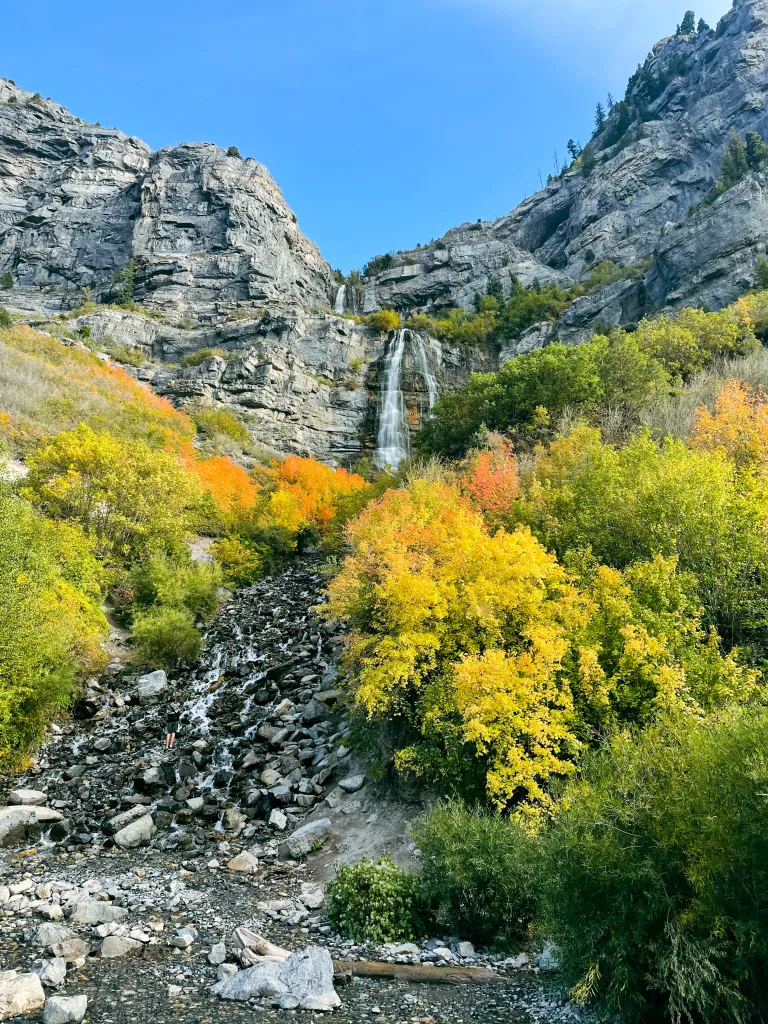 A water fall in the distance, seen from below, with colorful trees and rocks in the foreground.